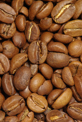  coffee grains