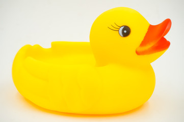 yellow duck