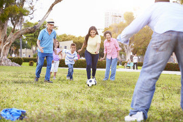 Multi Generation Family Playing Soccer Together