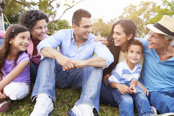 Multi Generation Family Sitting In Park Together