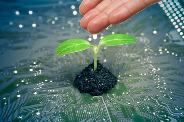 hand watering a tree growing on a computer circuit board / green it / green computing / csr / it...