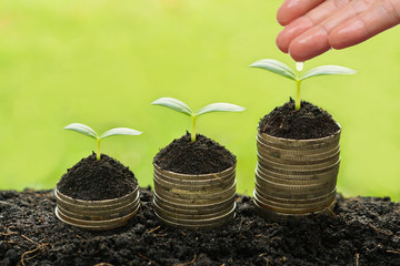 hand watering trees on coins - Business growth with csr practice