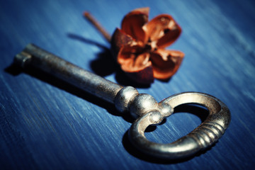 Retro key with decorative dried flower on color wooden table background