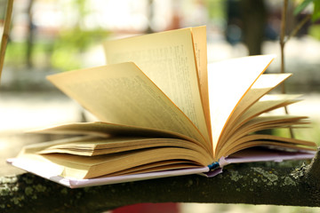 Book on tree branch, close-up