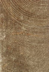 old wood texture