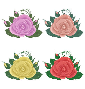 close-up set of roses isolated on white background