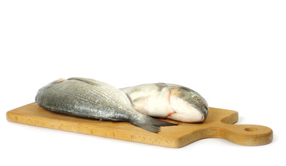 Fototapeta premium Dorado fish
