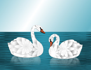 Pair of White Swans on Water
