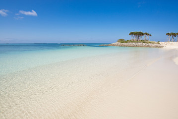 Fototapeta na wymiar 沖縄のビーチ・エメラルドビーチ