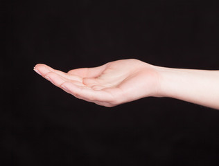 Open palm hand gesture of woman's hand.