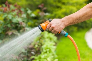 Gardening, Hose, Watering.