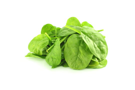 spinach leaves  in white background 