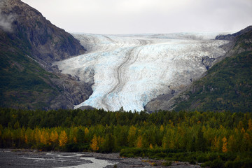 Exit Glacier, Kenai fjord National Park Alaska USA in Autumn