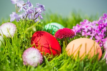 April, backgrounds, beautiful.