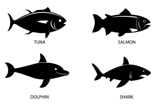 Various fish animal vector image