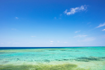 Fototapeta na wymiar 沖縄の海