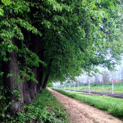 Тропинка вдоль железной дороги