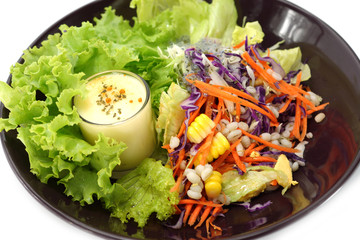 Mixed vegetable salad and Masala cream.