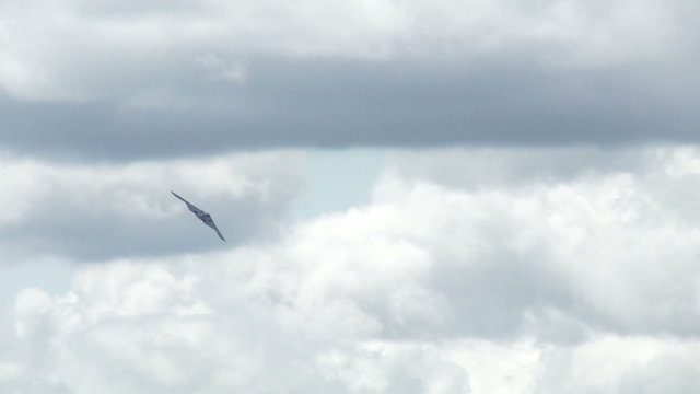 B-2A Spirit 24 1