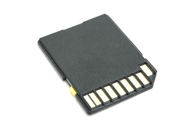 sd card isolated on white