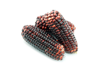 Waxy Corn on a white background