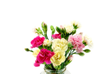 Smaller carnations on a white background  for mother's day.