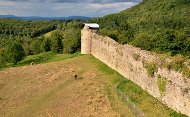 Ruins of old castle with horses in French countryside