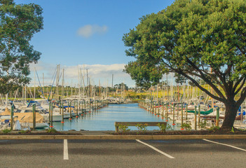 Marina in New Zealand Gulf Harbour