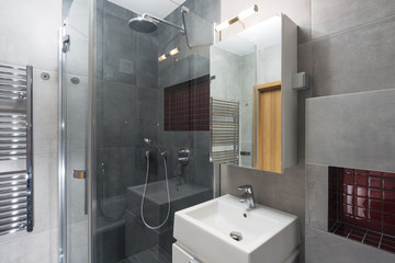 interior of modern small bathroom