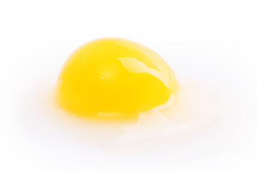 quail egg yolk protein