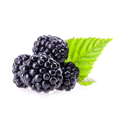 blackberry with leaf