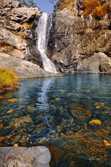 Fototapeta na wymiar Waterfall with orange and red colours in the Gold Coast hinterlands.