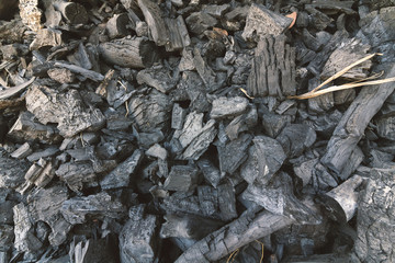 Charcoal from wood collected on the ground.Used film filter styl