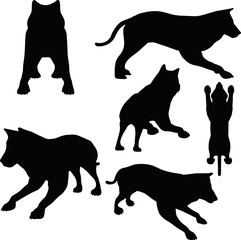 animal wolf silhouette