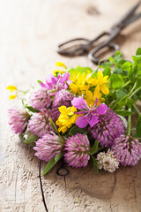 Fototapeta na wymiar colorful medical flowers and herbs
