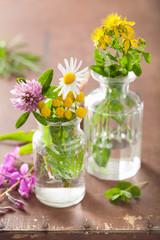 colorful medical flowers and herbs in glass jars