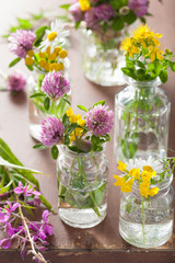colorful medical flowers and herbs in glass jars