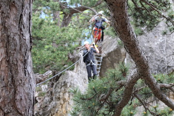 Climbers on hanging bridge in Gebirgsvereinssteig, Hohe Wand, Austria