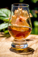 Whisky Glas
