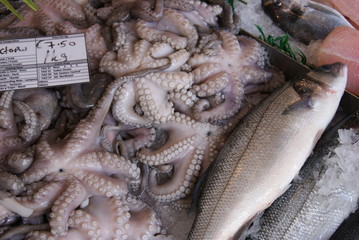 Bugibba © lajdaczysko