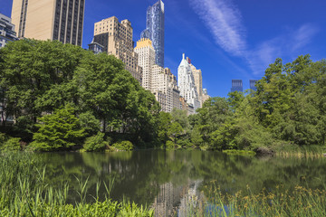 昼下がりのセントラルパーク