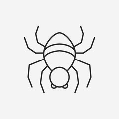 halloween spider line icon