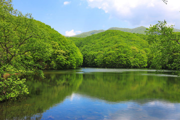 Fototapeta premium 曲沢沼