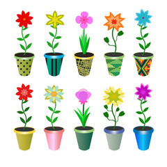 flowers in pots