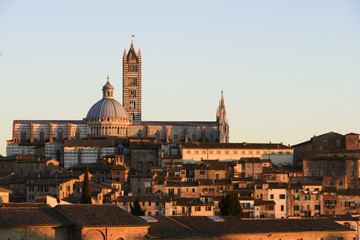 Siena