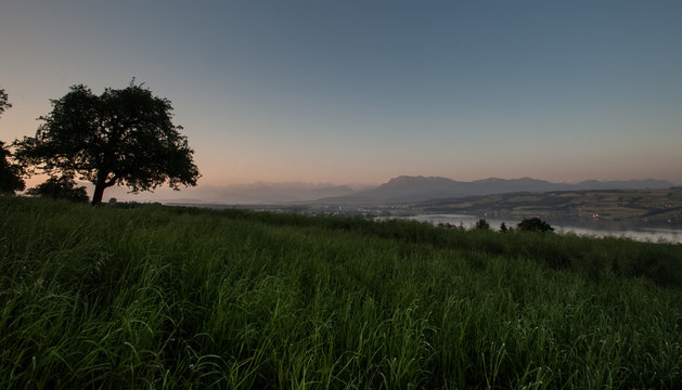 Morgenstimmung &uuml;ber dem Sempachersee