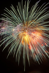 Colorful firework in a night sky