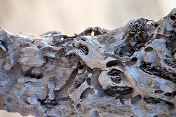 Wooden texture damaged