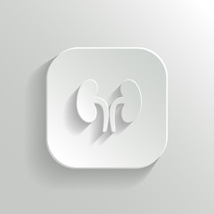 Kidneys icon - vector white app button