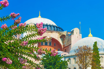 Fototapeta na wymiar Hagia Sophia mosque in Sultanahmet, Istanbul, Turkey.